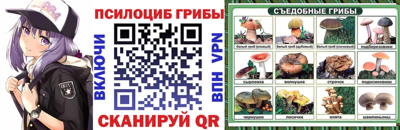 дарнет шоп Иваново Псилоцибиновые грибы мицелий