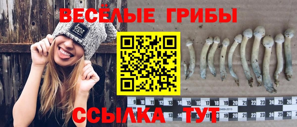 Иваново  Псилоцибиновые грибы Psilocybine cubensis  Вход с VPN 