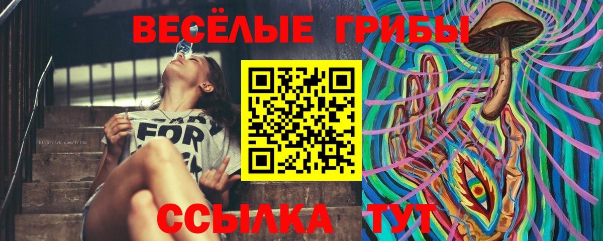 Псилоцибиновые грибы GOLDEN TEACHER Иваново